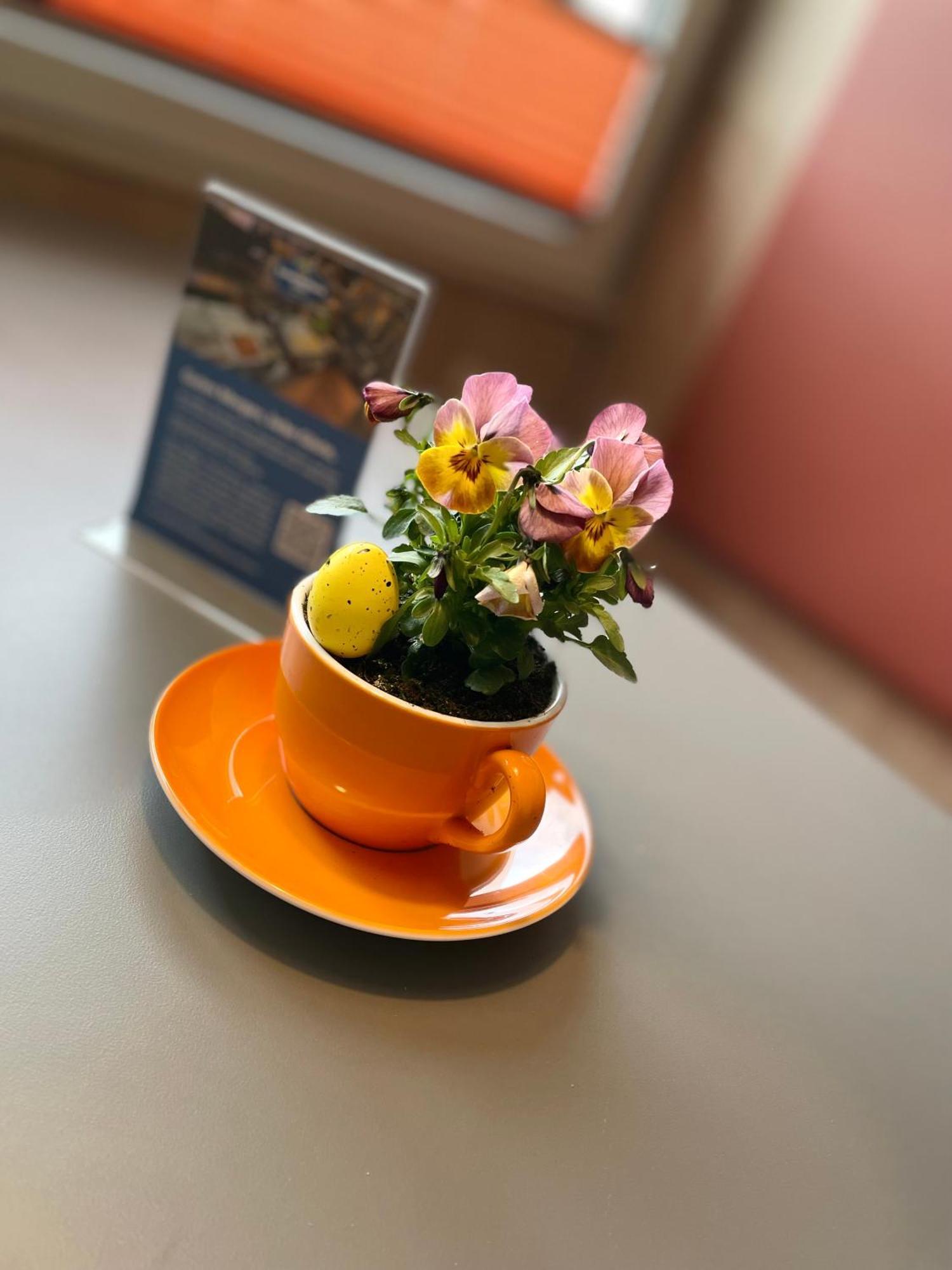 Schwedenhaus Wißmar エクステリア 写真
